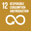 Responsible consumption and production